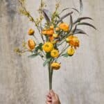 Eukalyptus stilk 70cm