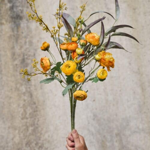 Eukalyptus stilk 70cm