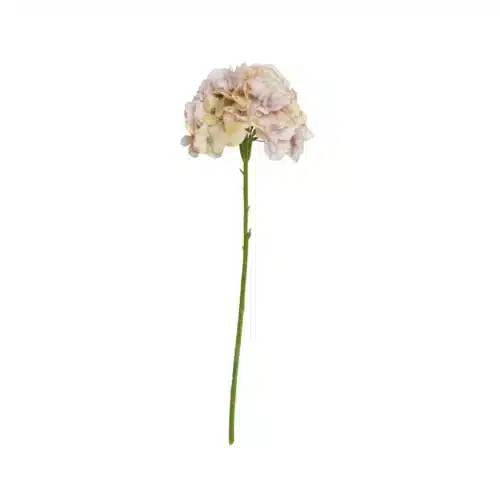 Hortensia stilk 65cm