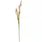 Bristlegrass stilk 74cm