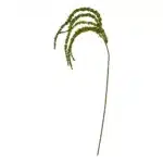 Rævehale stilk 115cm