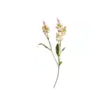 Ridderspore stilk 61cm