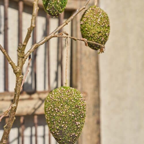 Mos æg m/snor 13x9cm