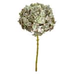 Hortensia Stilk 62cm