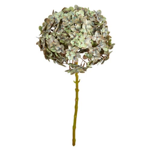 Hortensia Stilk 62cm