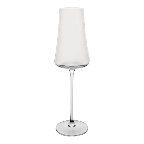 NOMI Champagne glass, Clear