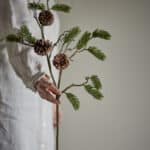 Pine stilk – Grøn